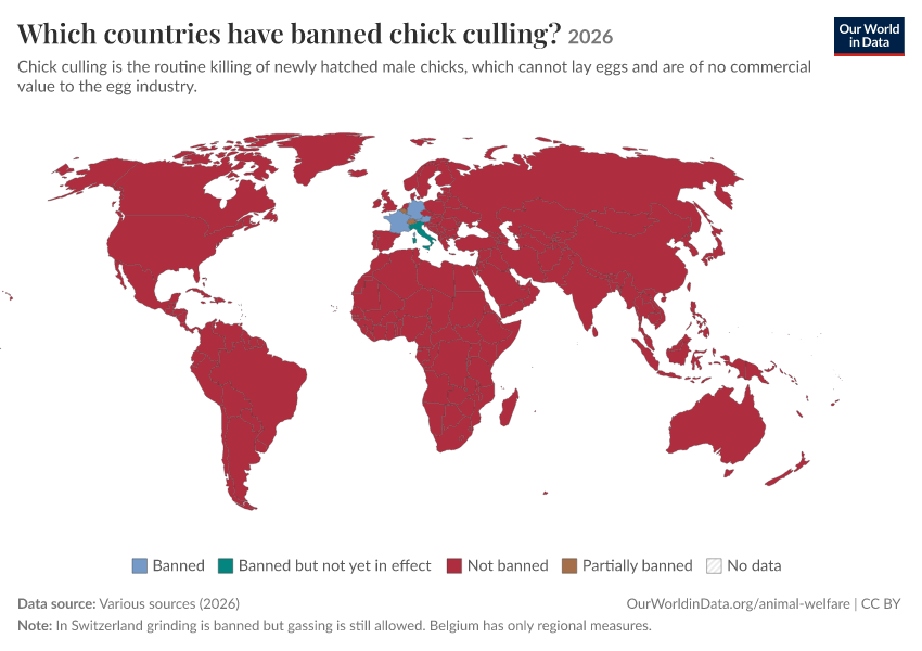 A thumbnail of the "Which countries have banned chick culling?" chart