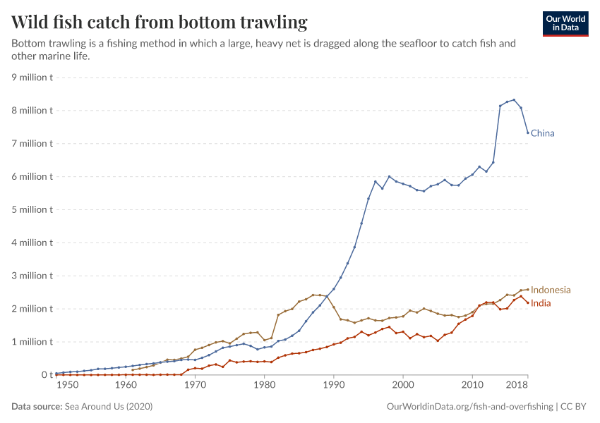 Wild fish catch from bottom trawling