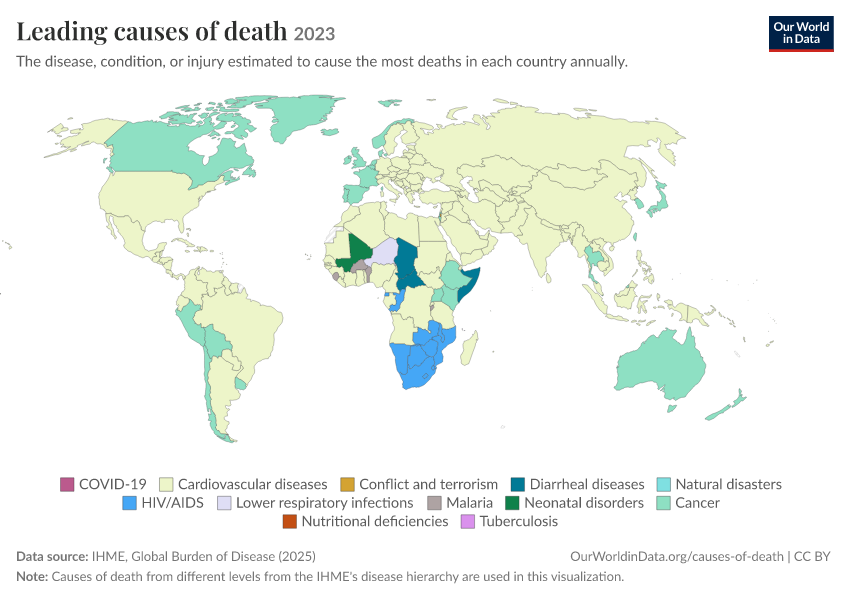 A thumbnail of the "Leading causes of death" chart