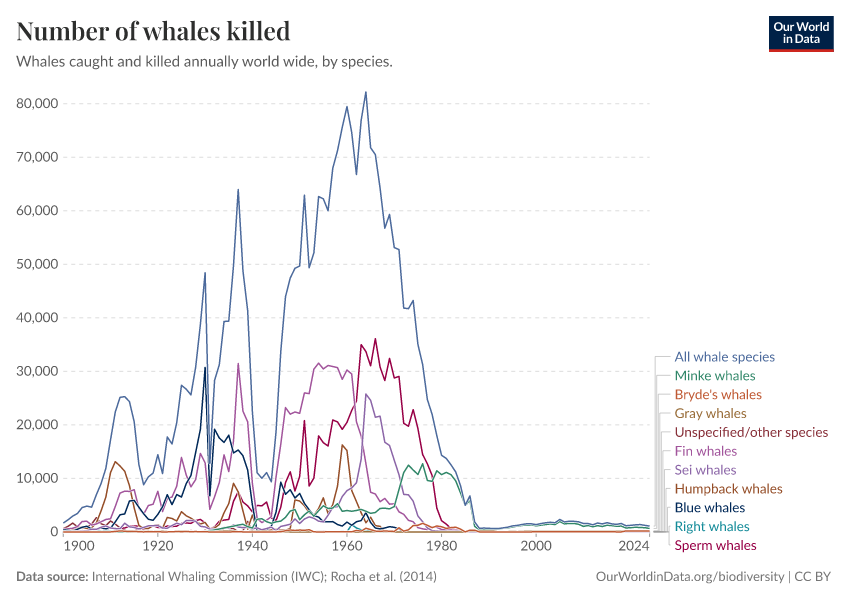 A thumbnail of the "Number of whales killed" chart