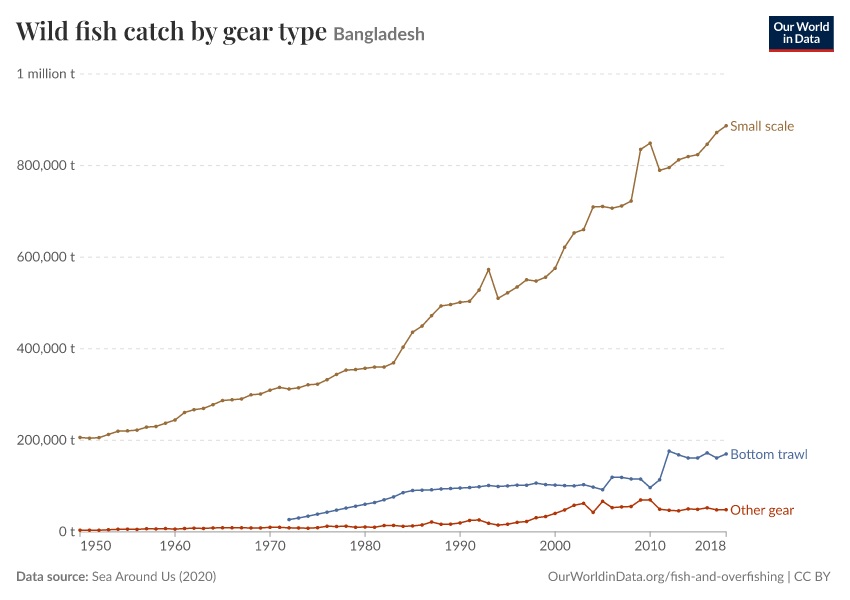 Wild fish catch by gear type